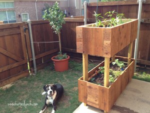 Container-Gardening-My-Little-Helper