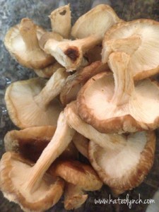 Cream-of-Mushroom-Soup-Mushrooms