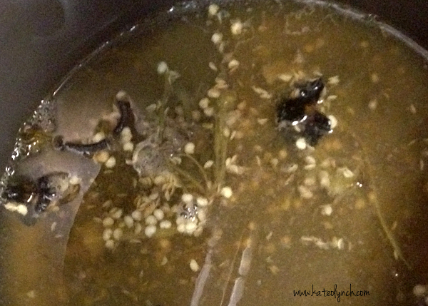 Hatch-Green-Chile-seeds-in-broth
