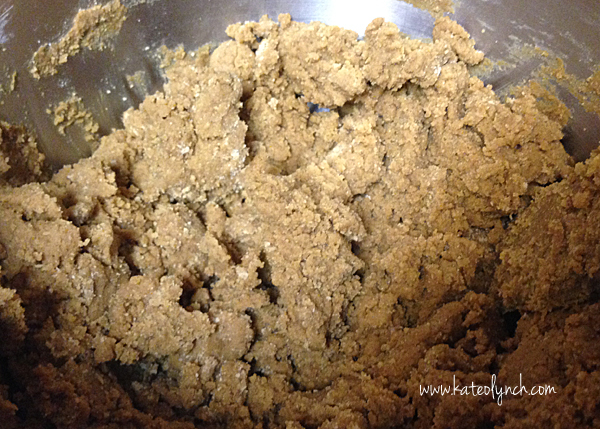 Ginger Snaps Cookie Dough